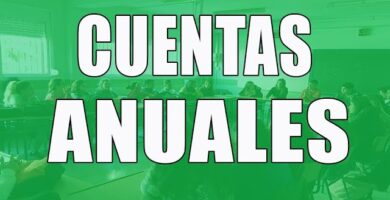 Cómo preparar las cuentas anuales de una empresa: Ejemplo Práctico 10 Cómo preparar las cuentas anuales de una empresa: Ejemplo Práctico