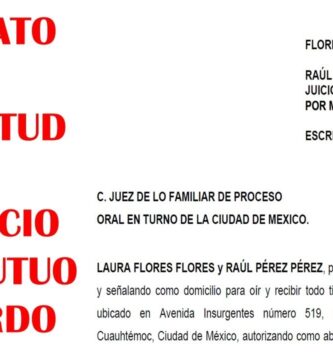 Ejemplo de Acuerdo de Divorcio: Guía Completa para Entenderlo