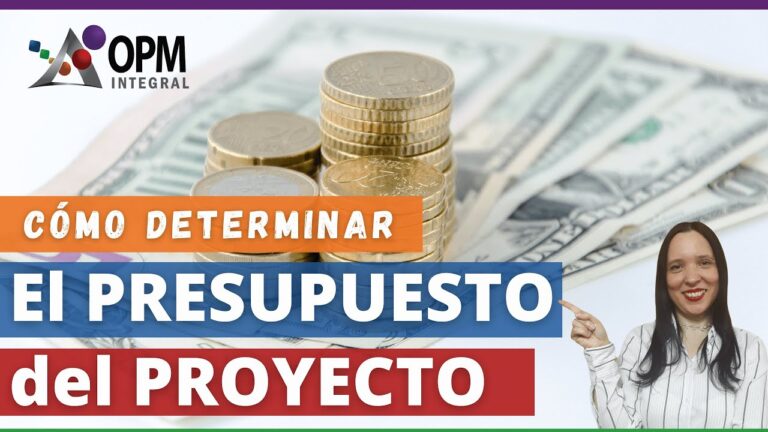 Guía paso a paso: Ejemplo de Presupuesto de Proyecto | FECMES