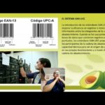 Ejemplo Práctico de Trazabilidad de un Producto: ¡Descubre Cómo!