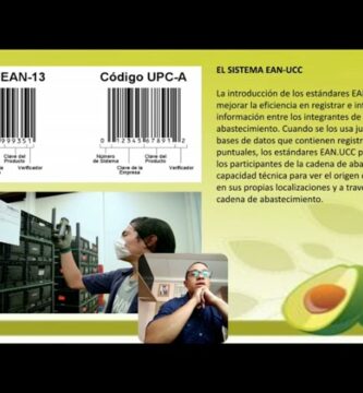 Ejemplo Práctico de Trazabilidad de un Producto: ¡Descubre Cómo!