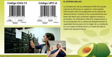 Ejemplo Práctico de Trazabilidad de un Producto: ¡Descubre Cómo! 7 Ejemplo Práctico de Trazabilidad de un Producto: ¡Descubre Cómo!