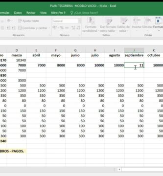 Cómo Diseñar un Plan de Tesorería Efectivo para su Empresa
