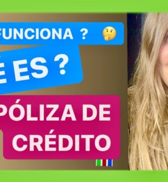 Cómo obtener una Póliza de Crédito: Ejemplos y Consejos